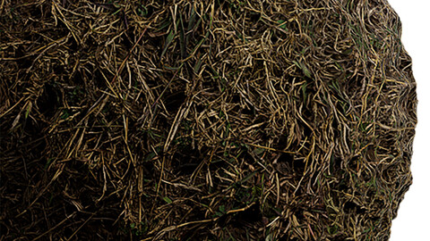 Grass Seamless Texture Patterns 2k (2048*2048) | EXR 5 | JPG 5 File Formats. (1K preview image)