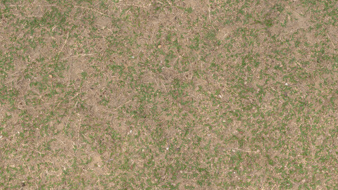 Grass Seamless Texture 2k (2048*2048) | EXR 5 | JPG 5 File Formats All Texture Apply After Object Look Like A 3D. (1K preview image)