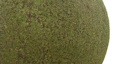 Grass Seamless Texture Patterns 2k (2048*2048) | EXR 5 | JPG 5 File Formats. (1K preview image)