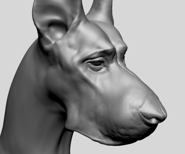 ArtStation - Dog Bust B | Resources