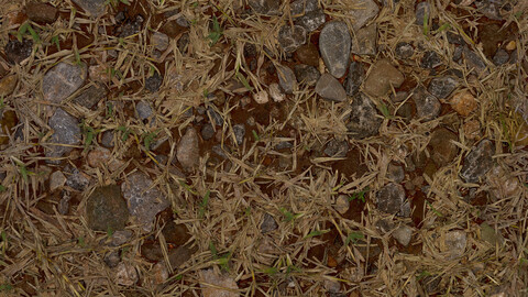 Grass Seamless Texture 2k (2048*2048) | EXR 5 | JPG 5 File Formats All Texture Apply After Object Look Like A 3D. (1K preview image)