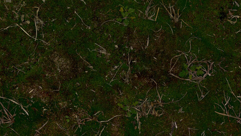 Grass Seamless Texture 2k (2048*2048) | EXR 5 | JPG 5 File Formats All Texture Apply After Object Look Like A 3D. (1K preview image)