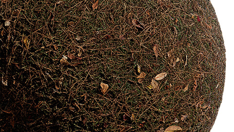 Grass Seamless Texture Patterns 2k (2048*2048) | EXR 5 | JPG 5 File Formats. (1K preview image)