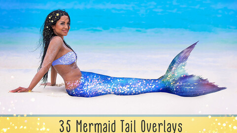 Mermaid Tail Overlays