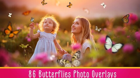 Butterflies Photo Overlays