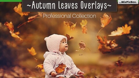 Autumn Leaves Overlays