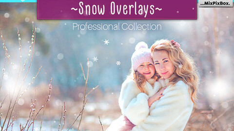 Natural Snow Overlays