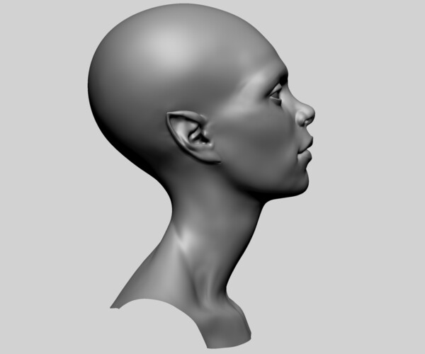 ArtStation - Female Head F | Resources