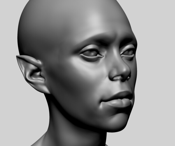 ArtStation - Female Head F | Resources