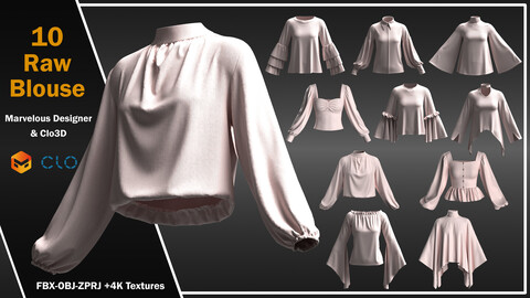 10 Raw Models Of Blouse For Women (ZPRJ, FBX, OBJ, DXF, PDF, Pose)