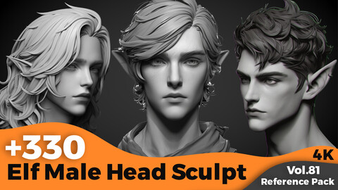 +330 Elf Male Head Sculpt Reference(4k)