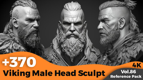 +370 Viking Male Head Sculpt Reference(4k)