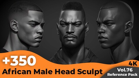 +350 African Male Head Sculpt Reference(4k)