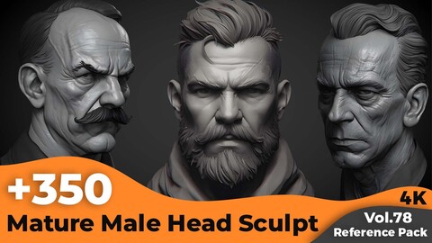 +350 Mature Male Head Sculpt(4k)