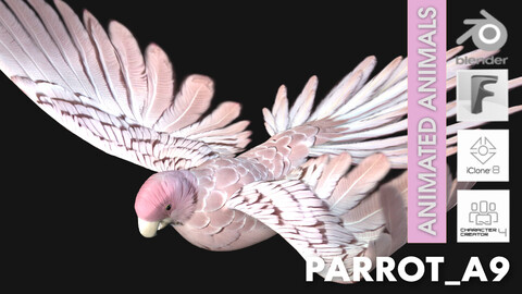 Parrot_A9