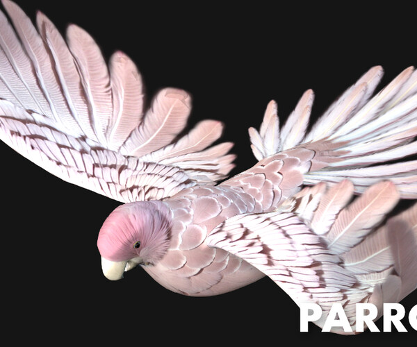 ArtStation - Parrot_A9 | Resources