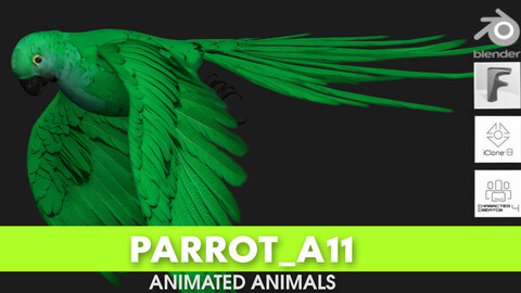 Parrot_A11