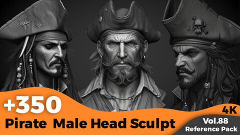 +350 Pirate Male Head Sculpt Reference(4k)