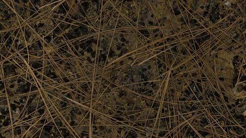 Ground Seamless Texture 2k (2048*2048) | EXR 5 | JPG 5 File Formats All Texture Apply After Object Look Like A 3D. (1K preview image)