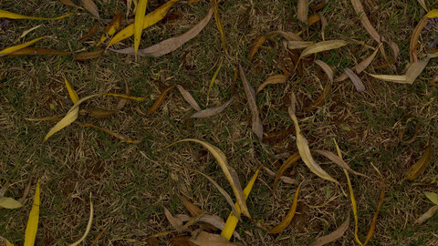 Ground Seamless Texture 2k (2048*2048) | EXR 5 | JPG 5 File Formats All Texture Apply After Object Look Like A 3D. (1K preview image)