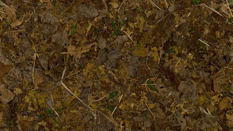 Ground Seamless Texture 2k (2048*2048) | EXR 5 | JPG 5 File Formats All Texture Apply After Object Look Like A 3D. (1K preview image)