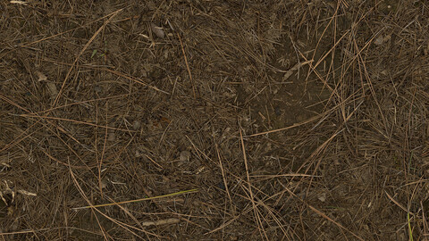 Ground Seamless Texture 2k (2048*2048) | EXR 5 | JPG 5 File Formats All Texture Apply After Object Look Like A 3D. (1K preview image)