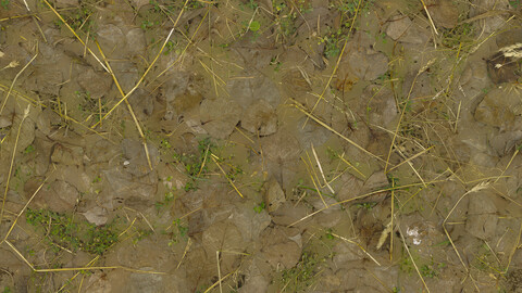 Ground Seamless Texture 2k (2048*2048) | EXR 5 | JPG 5 File Formats All Texture Apply After Object Look Like A 3D. (1K preview image)