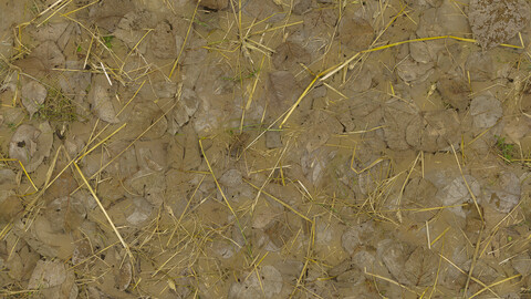 Ground Seamless Texture 2k (2048*2048) | EXR 5 | JPG 5 File Formats All Texture Apply After Object Look Like A 3D. (1K preview image)