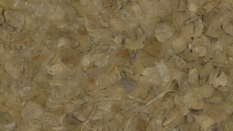 Ground Seamless Texture 2k (2048*2048) | EXR 5 | JPG 5 File Formats All Texture Apply After Object Look Like A 3D. (1K preview image)