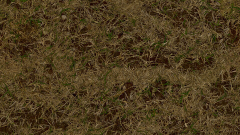 Ground Seamless Texture 2k (2048*2048) | EXR 5 | JPG 5 File Formats All Texture Apply After Object Look Like A 3D. (1K preview image)