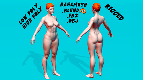 Female Anatomy Basemesh (Woman Base Mesh High poly and Rigged Low poly) Basemash