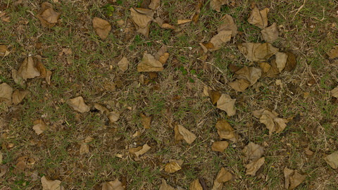 Ground Seamless Texture 2k (2048*2048) | EXR 5 | JPG 5 File Formats All Texture Apply After Object Look Like A 3D. (1K preview image)