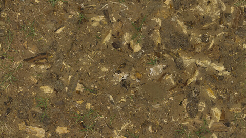 Ground Seamless Texture 2k (2048*2048) | EXR 5 | JPG 5 File Formats All Texture Apply After Object Look Like A 3D. (1K preview image)