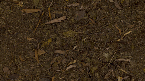 Ground Seamless Texture 2k (2048*2048) | EXR 5 | JPG 5 File Formats All Texture Apply After Object Look Like A 3D. (1K preview image)