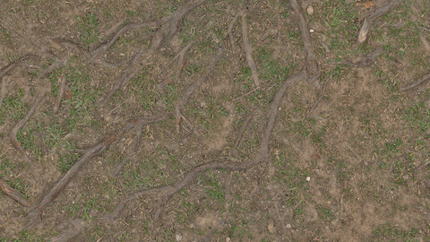 Ground Seamless Texture 2k (2048*2048) | EXR 5 | JPG 5 File Formats All Texture Apply After Object Look Like A 3D. (1K preview image)