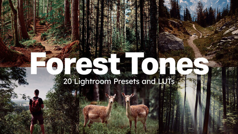 20 Forest Tones LUTs & Lightroom Presets