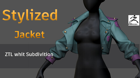 Stylized Jacket