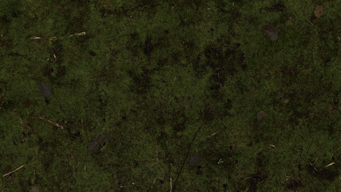 Ground Seamless Texture 2k (2048*2048) | EXR 5 | JPG 5 File Formats All Texture Apply After Object Look Like A 3D. (1K preview image)