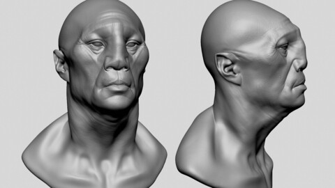 Various Male Head Models