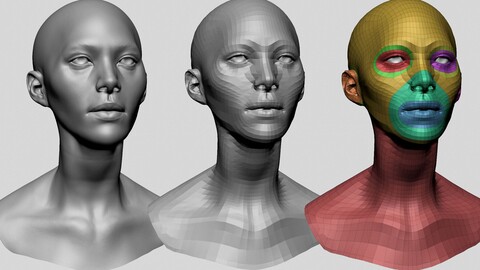 Various Female Head Models