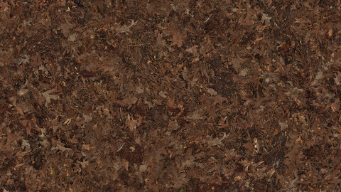 Ground Seamless Texture 2k (2048*2048) | EXR 5 | JPG 5 File Formats All Texture Apply After Object Look Like A 3D. (1K preview image)