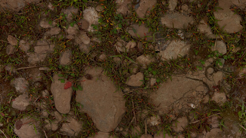 Ground Seamless Texture 2k (2048*2048) | EXR 5 | JPG 5 File Formats All Texture Apply After Object Look Like A 3D. (1K preview image)