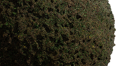 Ground Seamless Texture Patterns 2k (2048*2048) | EXR 5 | JPG 5 File Formats. (1K preview image)