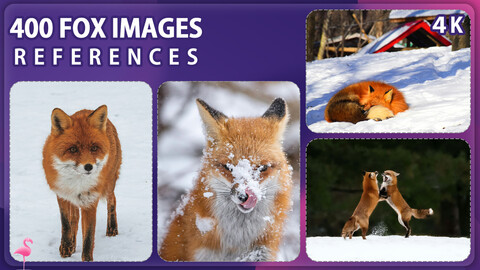 400 Fox Image Reference Pack – Vol 1