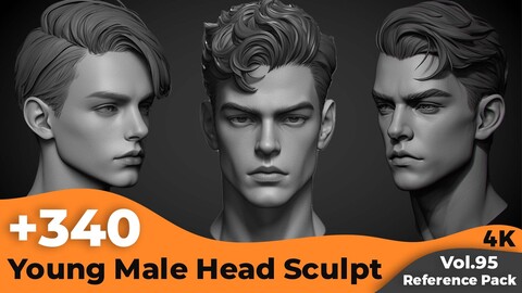 +340 Young Male Head Sculpt Reference(4k)