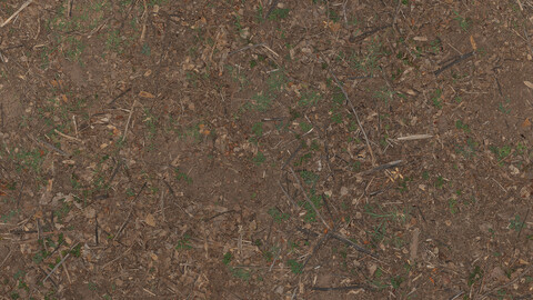 Ground Seamless Texture 2k (2048*2048) | EXR 5 | JPG 5 File Formats All Texture Apply After Object Look Like A 3D. (1K preview image)