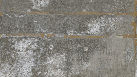 Concrete Seamless Texture 2k (2048*2048) | EXR 5 | JPG 5 File Formats All Texture Apply After Object Look Like A 3D. (1K preview image)