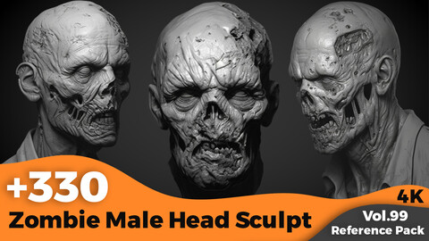 +330 Zombie Male Head Sculpt Reference(4k)