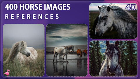 400 Horse Image Reference Pack – Vol 2