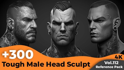 +300 Tough Male Head Sculpt References(4k)